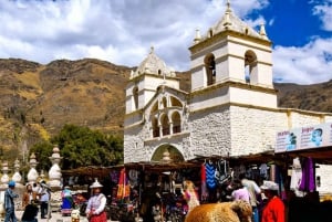 Andes: Dagtrip Colca Canyon