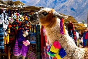 Andes: Viagem de um dia ao Colca Canyon