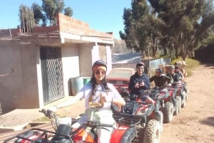 アプクナク・ティアナンへの4輪バイクプライベートツアー