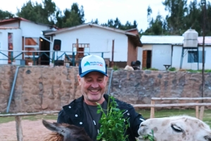 Archaeological City Tour in Cusco in Portuguese Half-Day Tour