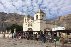 Arequipa: 2-dagers Colca Canyon-vandring med avslutning i Puno