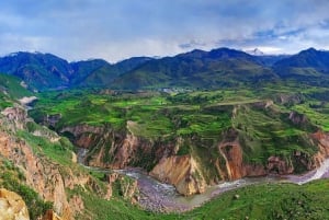 Arequipa: 2-dagers Colca Canyon-vandring med avslutning i Puno