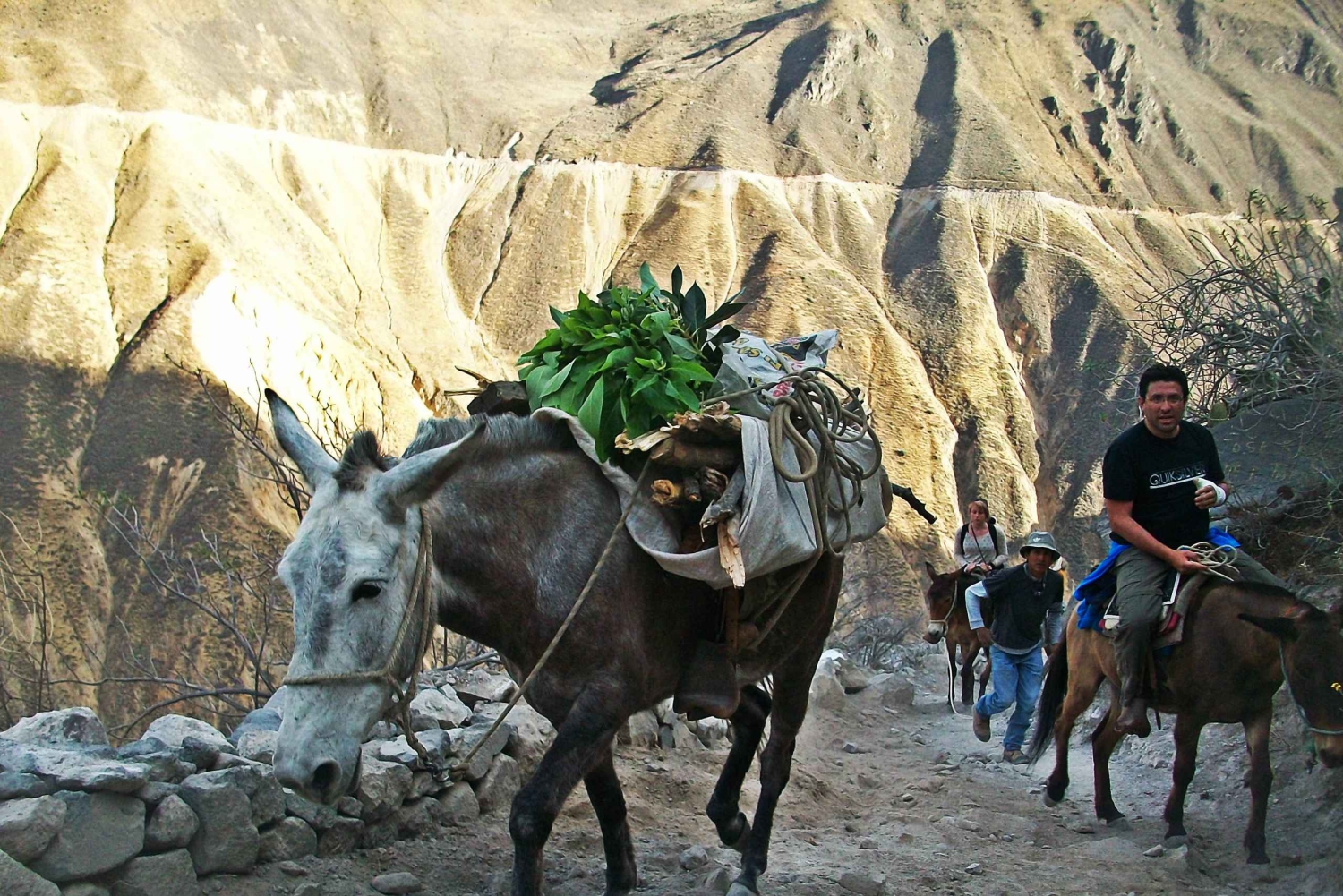 Arequipa: 2-Day Colca Canyon Trekking Tour