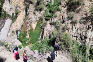 Arequipa: 2-Day Colca Canyon Trekking Tour