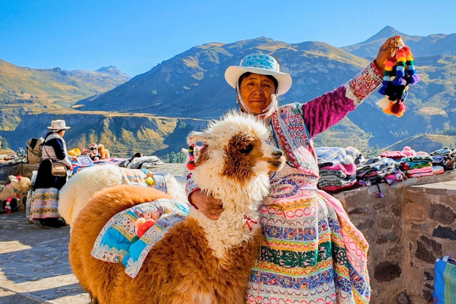 Arequipa: 2-dagers tur til Colca-dalen med transport til Puno