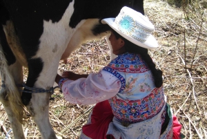 Arequipa: 2-dniowe wycieczki do kanionu Colca z pobytem w domu lokalnej rodziny