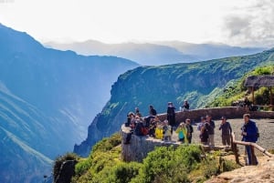 Arequipa: Tour di 2 giorni con trekking nel Canyon del Colca