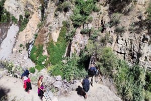 Arequipa: Tour di 2 giorni con trekking nel Canyon del Colca