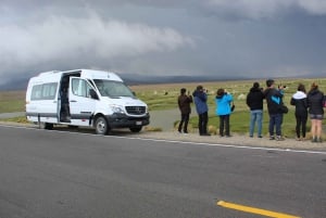 Arequipa: Tour di 2 giorni con trekking nel Canyon del Colca