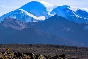 Arequipa | Ascent to Chachani Volcano 2 days / 1 night