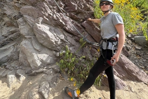 Arequipa: Calambucos Canyon Rock Climbing and Rappelling