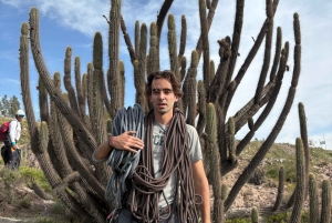 Arequipa: Calambucos Canyon Rock Climbing and Rappelling