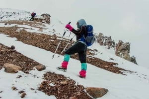 アレキパ：チャチャニ 2 日間 :| 昼食 - キャンプ |