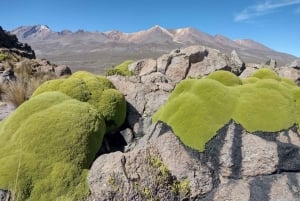 Arequipa: Chachani Volcano Guided Trek with Meals-two days