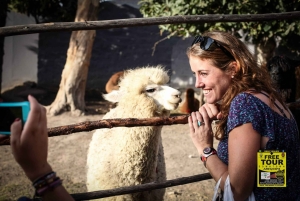 Arequipa: Chili River Rafting and Sunset City Tour