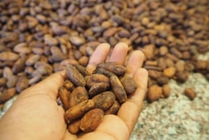 Arequipa: Chocolate-Making Workshop