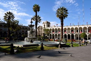 Best tours in and around Arequipa, Peru