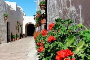 Arequipa: Climbing, Walking Tour, and Santa Catalina