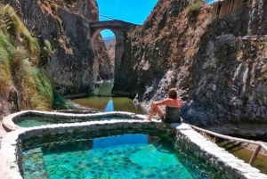 Arequipa: Colca Canyon 1-Day Guided Tour | Condor Flight |