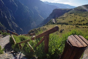 Arequipa: Colca Canyon 2 dages eventyr | Retur til Arequipa