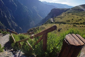 Arequipa: Colca Canyon 2 Days | Ending to Puno