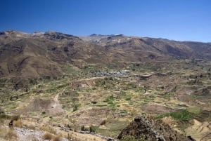Arequipa: Colca Canyon 2 dager og natt + overnatting