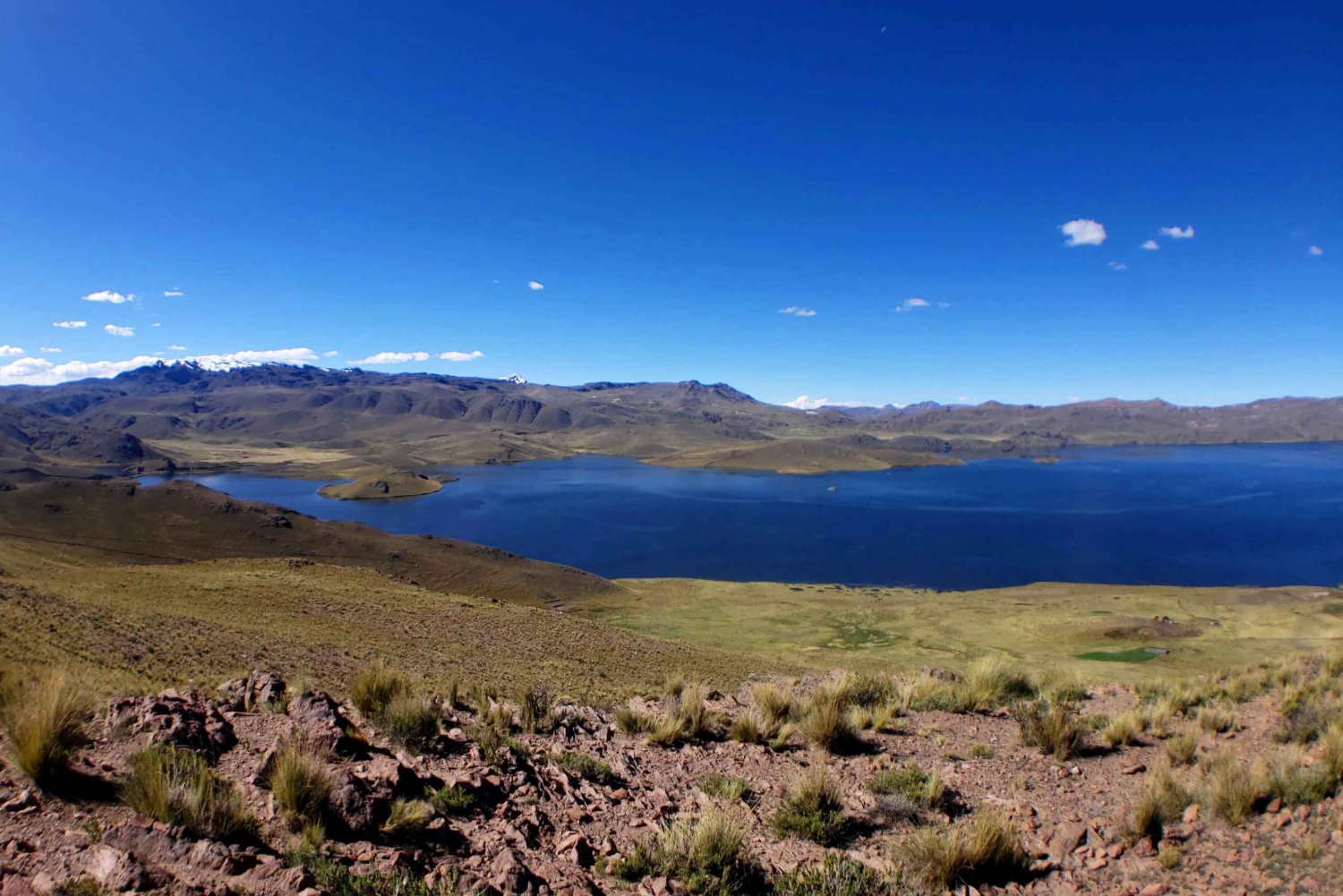Arequipa: Colca Canyon Day Tour to Puno