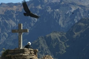 Arequipa & Colca Canyon Multi-Day Tour