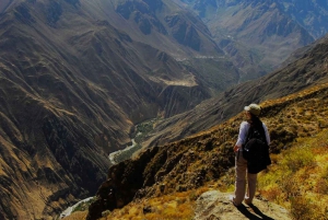 Arequipa & Colca Canyon Multi-Day Tour