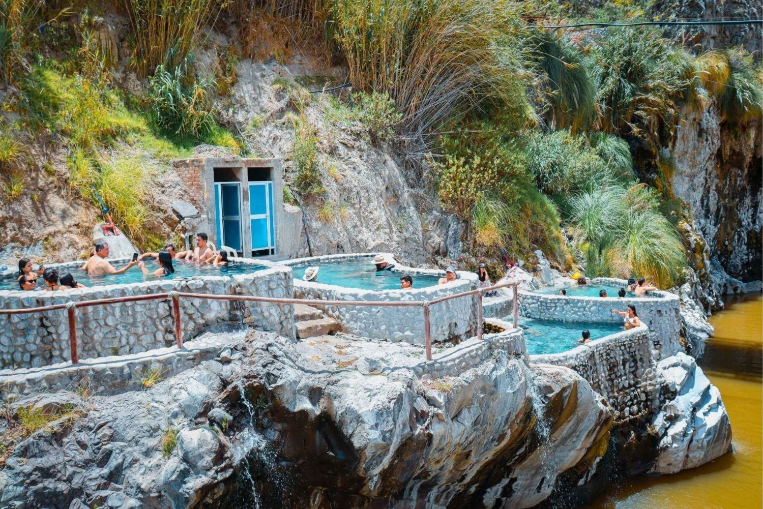 Arequipa: Colca Canyon Photo Tour with Condors & Springs