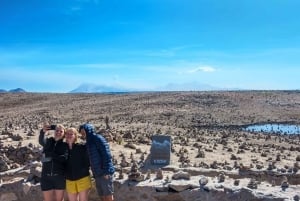 Arequipa: Colca Canyon Photo Tour with Condors & Springs
