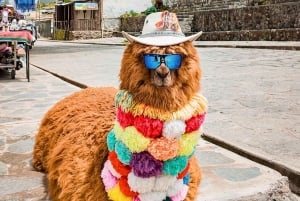 Arequipa: Colca Canyon Photo Tour with Condors & Springs