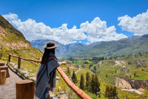 Arequipa: Colca Canyon Photo Tour with Condors & Springs