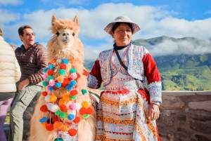 Arequipa: Colca Canyon Photo Tour with Condors & Springs