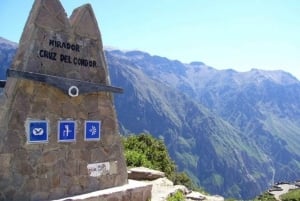 Arequipa: Colca Canyon Tour med transfer till Puno