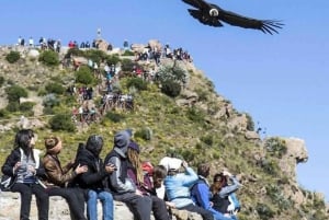 Arequipa: Colca Canyon trekking 2 dager og 1 natt + lunsj