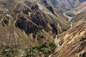 Arequipa: Colca Canyon trekking 2 dager og 1 natt + lunsj