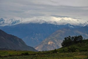 Arequipa: Colca Canyon trekking 2 dager og 1 natt + lunsj