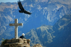 Arequipa: Dolina Colca i punkt widokowy na kondory 2 dni/1 noc
