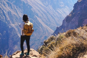 Arequipa : Excursion au Canyon de Colca, option se terminant à Puno