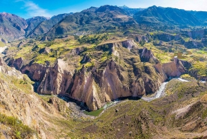 Arequipa: Utflukt til Colca Canyon, mulighet for å avslutte i Puno