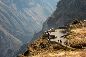 Arequipa: Excursion to Chivay and Colca Canyon
