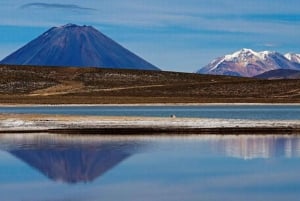 Arequipa: Excursion to Salinas Lagoon || All day ||
