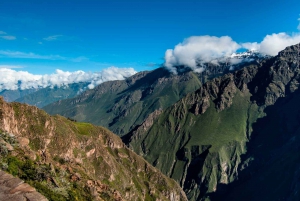 Arequipa: Escursione al Canyon del Colca con arrivo a Puno.