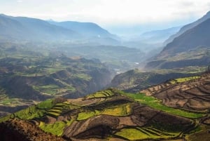 Arequipa: Escursione al Canyon del Colca con arrivo a Puno.