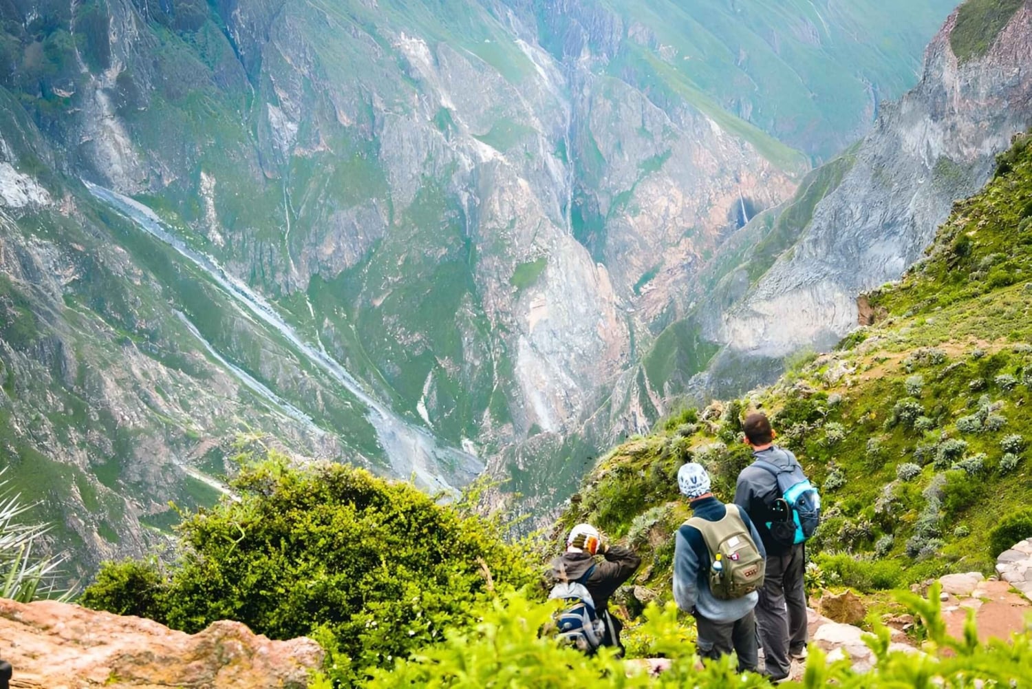 Arequipa : excursion d'une journée au canyon de Colca, aller-retour depuis Arequipa
