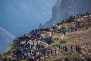 Arequipa : excursion d'une journée au canyon de Colca, aller-retour depuis Arequipa