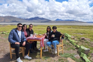 Арекипа: Полнодневная экскурсия на соленое озеро Салинас