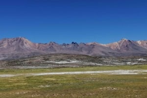 Арекипа: Полнодневная экскурсия на соленое озеро Салинас