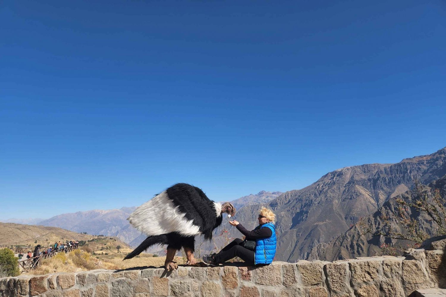 Arequipa: Colca Canyon Tour mit Frühstück und Mittagessen